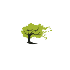 Poplar Tree Solutions Ltd - Liverpool Merseyside, Merseyside, United Kingdom