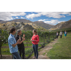 Queenstown Wine Trail Tours - Queenstown, Otago, New Zealand