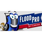 Flood Pro of Florida llc - Tampa, FL, USA