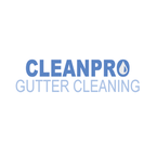 Clean Pro Gutter Cleaning New Albany - New Albany, IN, USA