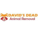 Dead Possum Removal Hobart - Hobart, TAS, Australia