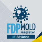 FDP Mold Remediation of Bayonne - Bayonne, NJ, USA