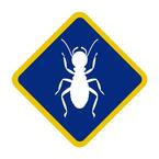 Affordable Termite Control - Hungtinton Beach, CA, USA