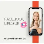 Followers pro - Twickenham, Middlesex, United Kingdom