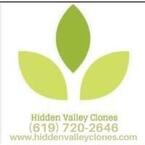 Hidden Valley Genetics of San Diego - San Diego, CA, USA