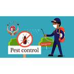 Emergency Pest Control Brisbane - Brisbane, QLD, Australia