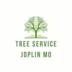 Tree Service Joplin MO - Jacinto, MS, USA