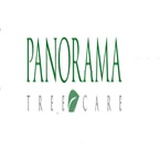 Panorama Tree Care: Tampa Tree Services - Tampa, FL, USA