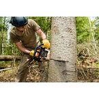 Ann Arbor Tree Service Pros