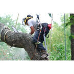 AAA Advanced Tree Lopping - Lane Cove North, NSW, Australia