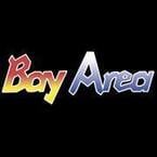 Bay Area Air Conditioning, Incorporated - New Port Richey, FL, USA