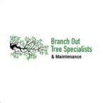 Branch Out Tree Specialists - Bondi, NSW, Australia