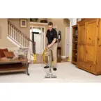 carpet cleaning in lake forest - Adin, CA, USA