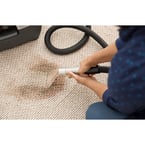 Emergency Carpet Cleaning Gold Coast - Gold Coast, QLD, Australia