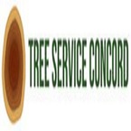 Tree Service Concord - Concord, CA, USA