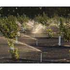 Cooling Tree Systems - Walla Walla, WA, USA