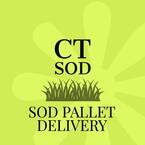 CT SOD - Milford City, CT, USA