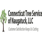 Connecticut Tree Service of Naugatuck LLC - Woodbury Center, CT, USA