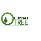 Curran Tree - Pawtucket, RI, USA