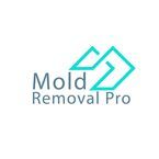 Mold Removal Pro - West Hollywood, CA, USA