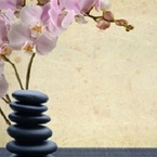 4 Elements Healing Massage - Lethbridge, AB, Canada