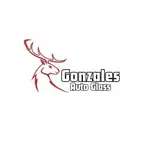 Gonzales Auto Glass - Aurora, CO, USA