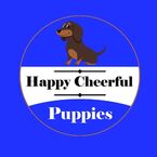 Happy Cheerful Puppies - Sugarcreek, OH, USA