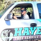 Hayes Tree Service Inc - New Port Richey, FL, USA