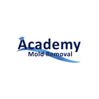 Academy Mold Removal Saugus - Saugus, CA, USA