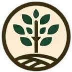 Los Angeles Arborist - Los Angeles, CA, USA