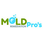 Mold Remediation Pros PA Poconos - Mount Pocono, PA, USA