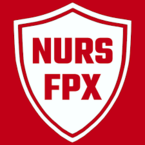 NURSFPX - Minneapolis, MN, USA