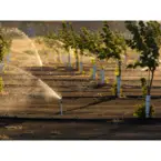 Orchard Irrigation Systems - Walla Walla, WA, USA