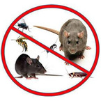 http://www.pestcontrolwembley.org