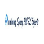 Plumbing Spring Hill FL Experts - Spring Hill, FL, USA