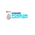 Humane Possum Removal Perth - Perth, WA, Australia