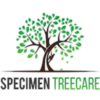 Specimen Treecare - AUCKALND, Auckland, New Zealand