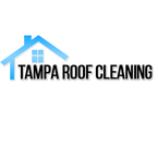 Tampa Roof Cleaning - Tampa, FL, USA