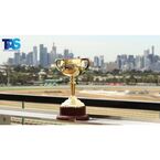 TAS Trophies - Caulfield, VIC, Australia