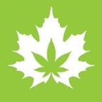 The House of Cannabis - Tornoto, ON, Canada