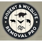 The Rodent & Wildlife Removal Pro - Holiday, FL, USA