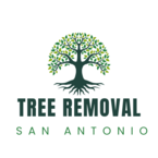 Tree Removal San Antonio - San Antonio, TX, USA