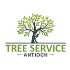 Tree Service Antioch - Antioch, CA, USA