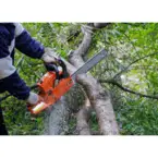 Atoka Tree Service - Atoka, TN, USA