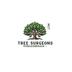 Tree Surgeons Middlesbrough - Middlesbrough, North Yorkshire, United Kingdom