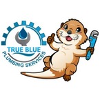 True Blue Plumbing Services - Snellville, GA, USA