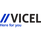 vicel airport taxis