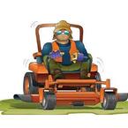 York Landscaping-Lawnmowing-Gardening-Mulching - York, PA, USA