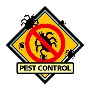 5 Star Pest Control & Bed Bug Exterminators LLC - Southfield, MI, USA