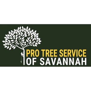 Pro Tree Service of Savannah - Savannah, GA, USA